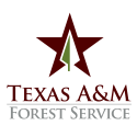 Texas A&M Forest Service Logo